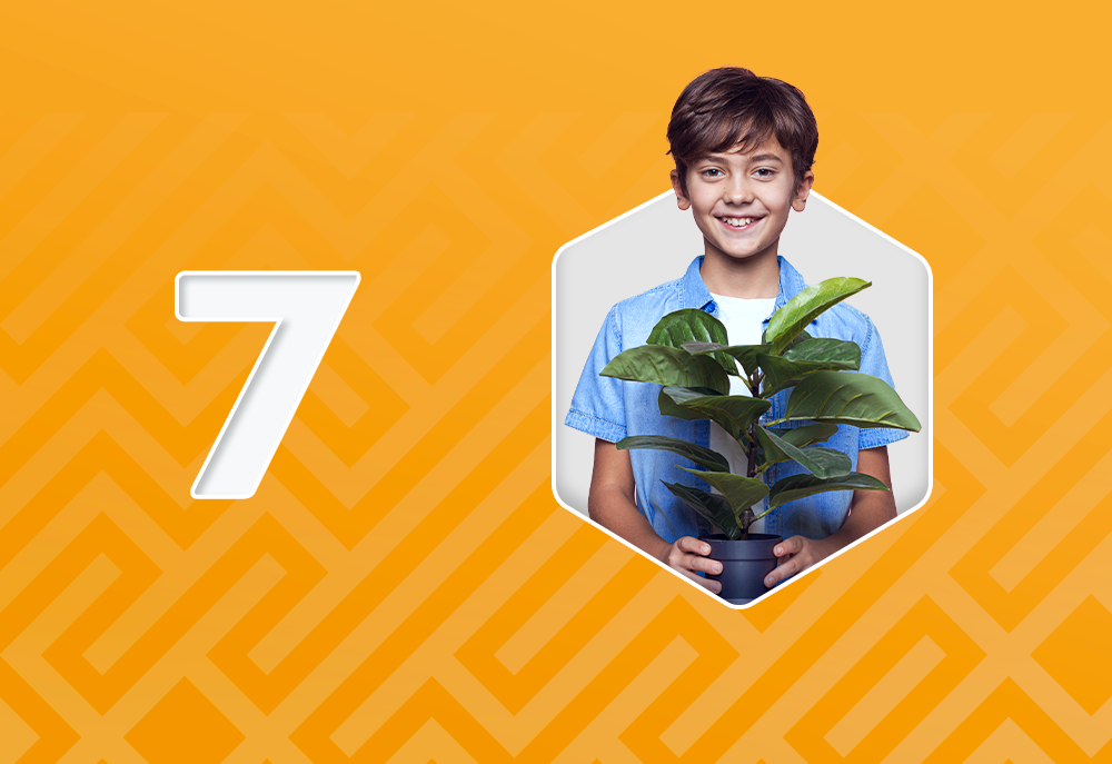 I-Elective 7 - PROYECTO